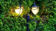 Snake-Proof Your Home and Garden: Effective Tips for Safety