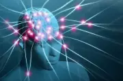 Study Links Physical Movement to Brain's Cleansing Process