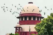 Supreme Court Directs Physical Production of Accused in Noida Custodial Torture Case