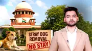 Supreme Court Refuses Stay on Stray Dog Removal from Schools, Hospitals