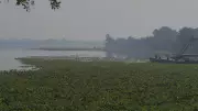 Supreme Court Seeks Centre's Reply on Wetland Definition Plea