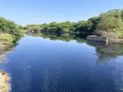 Supreme Court Slams Rajasthan Govt Over Illegal Pipeline Dumping Toxins Into Jojari River