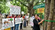 Supreme Court Stops Tree Felling in Hyderabad’s KBR National Park Eco-Sensitive Zone