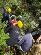 SUV Plunges into 120m Deep Gorge in Nainital, One Dead Two Injured
