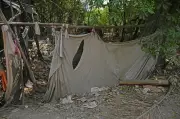 Systematic Violations on PDKV Land in Nagpur Exposed After HC Concern