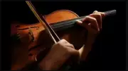 Tamil Nadu Govt Music College Coimbatore Invites Applications for Music and Dance Courses