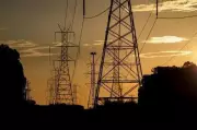 Tamil Nadu Power Minister Announces Recruitment Drive After Budget
