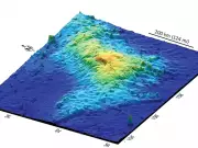 Tamu Massif: Pacific Giant Volcano or Complex Geological Structure?