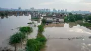 Telangana Rains: Four Farmers Dead, Three Injured in Mancherial Shed Collapse