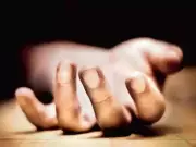 Telangana Tops India in Insecticide Suicides with 4,252 Deaths in 2024