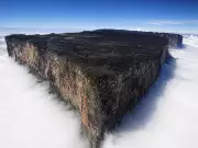 Tepuis: South America's Ancient Sky Islands and Their Unique Wildlife