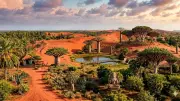 Theri Kaadu: Tamil Nadu's Red Dune Forest Is a Geological Marvel