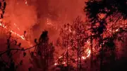 Third Forest Fire Death in Uttarakhand as Woman Succumbs to Burns