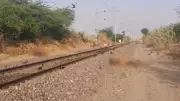 Three Camels Killed by Passenger Train in Jaisalmer, Track Blocked for 25 Minutes