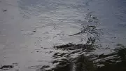 Three Including 10-Year-Old Drown in Separate Incidents in Haveri