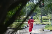 Thunderstorm, Rain Likely in Chandigarh Over Next Few Days: IMD