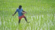 Time for Hard Decisions on Fertiliser Subsidies, Not Just Import Curbs
