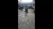 Tinsukia Waterlogging: Pre-Monsoon Rain Paralyzes Assam Town