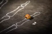 Tiny Finger Bone Reveals New Human Species: Denisovans