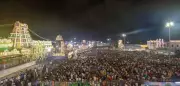 Tirumala Temple Sets New Record with 87,689 Devotees on Friday