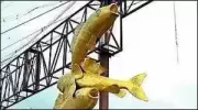 TNCCI Urges Madurai Corporation to Reinstall Iconic Three Fishes Sculpture