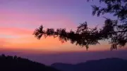 TNSTC Salem Launches Yercaud Package Tours from May 7