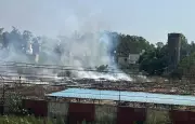 Toxic Waste Burning Continues Unabated Inside PAP Complex Despite Complaints