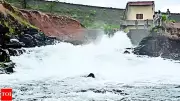 Tragedy in Nashik: Couple, Two Teens Drown in Dam, Pregnant Woman Among Victims