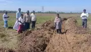 Trichy officials inspect desilting of delta irrigation channels ahead of Mettur dam opening