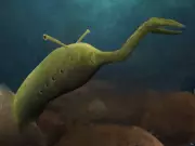 Tully Monster: The 300-Million-Year-Old Fossil That Still Baffles Scientists Today