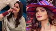 TV Celebs Become Successful Entrepreneurs: Dipika Kakar to Aashka Goradia