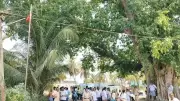 TVK Flag Hoisted on DMK Pole in Krishnagiri Triggers Tension