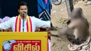 TVK functionary attempts self-immolation over Vijay's delayed CM bid