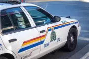 Two Punjabi Origin Youths Deported from Canada in Gang Crackdown