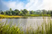 Two Sisters Found Dead in Pond Near Kapilmuni Temple in Kaithal