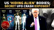 UFO Insider Claims US Recovered Remains of 4 Alien Species, Sparks Online Frenzy