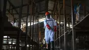 Uganda Shuts Border with DRC Over Ebola Spread, Imposes Strict Screening