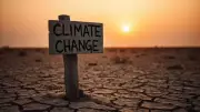 UK Urged to Set Workplace Heat Rules as Climate Threats Grow