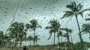 Unpredictable Weather Across India: Thunderstorms, Heatwaves, and Travel Disruptions Expected