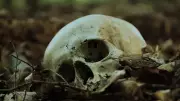 UP Man Removes Skull from Pyre for Occult Ritual, Arrested