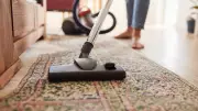 US CDC Warns: Why You Should Never Vacuum Rat Droppings Due to Hantavirus Risk