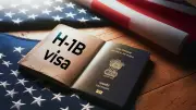 US CEO Urges USCIS to Launch Real-Time H-1B Visa Data Dashboard