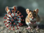 US Evacuee from Hantavirus Cruise Tests Mildly Positive