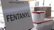 US imposes visa restrictions on India-based online pharmacy owner over fentanyl trafficking