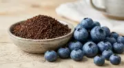 Used Coffee Grounds Boost Blueberry Growth: How to Use Them