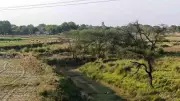 Uttar Pradesh Revitalizes Kilanhai River to Save Dying Water Bodies