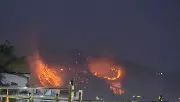 Uttarakhand Forest Department Clears 15,000 Trees for Fire Lines Across 1,235 km