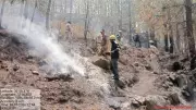 Uttarakhand Forest Fires Rage Amid Strong Winds, Rains Bring Relief