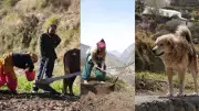 Uttarakhand's Ghost Villages: Over 1,700 Hamlets Abandoned as Migration Surges