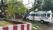 Varanasi Rains Bring Relief from Heat, Trees Uprooted in Storm
